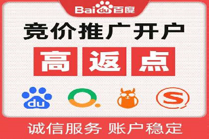 实战经验分享：SEO与SEM优化案例精选
